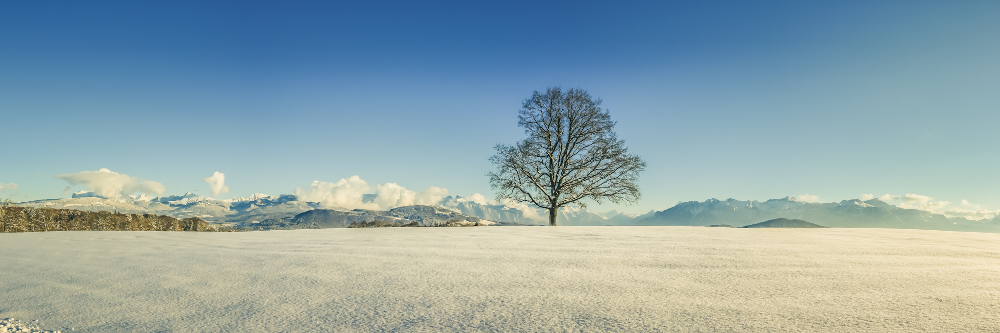 paysage d’hiver